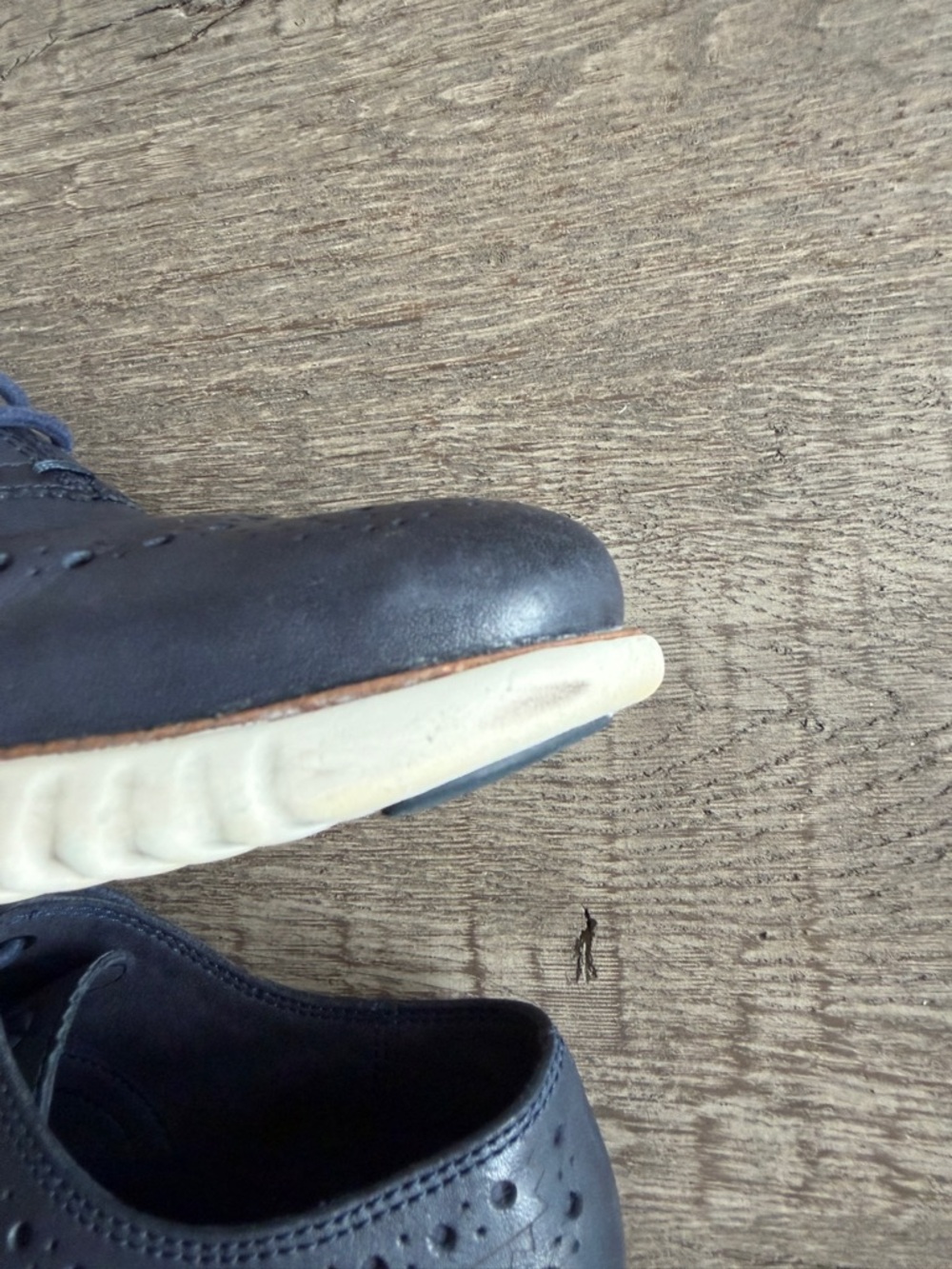 Cole Haan ZeroGrand Wingtip Oxford Navy Leather Shoes Men’s 7.5M - Picture 14 of 15